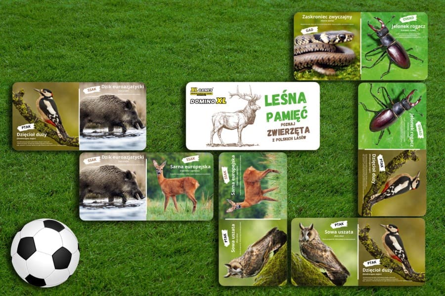 Domino XL - Leśna Pamięć (ZWIERZĘTA z polskich lasów) - gra XXL do wynajęcia